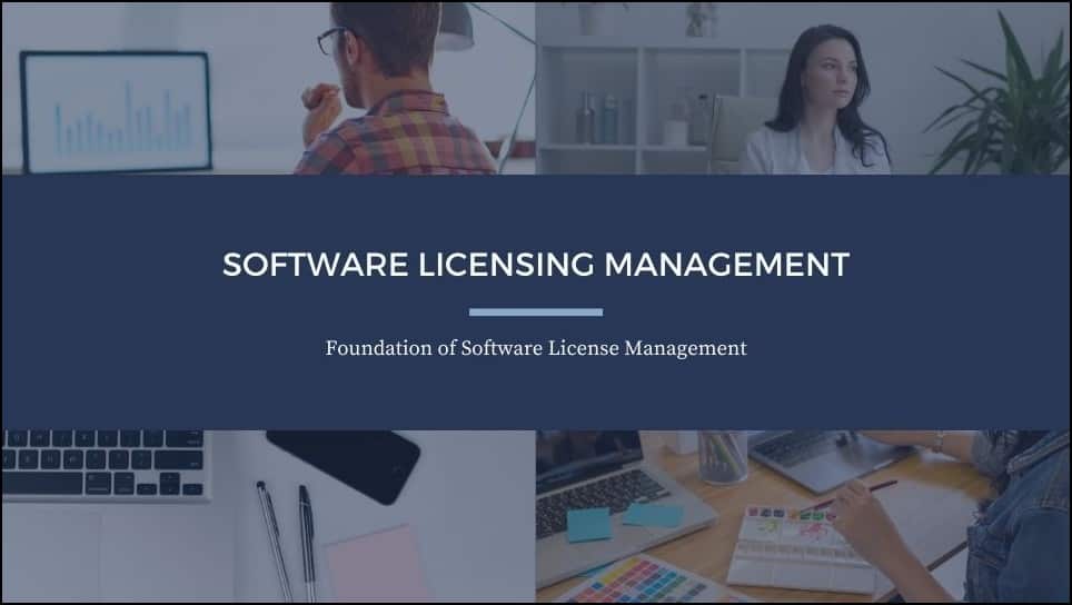 Software licensing 