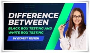 white box and black box testing