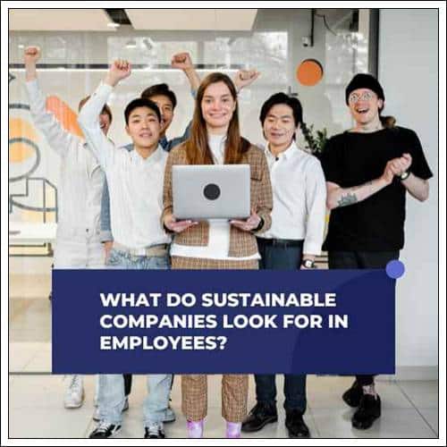 What Do Sustainable Companies Look For in Employees