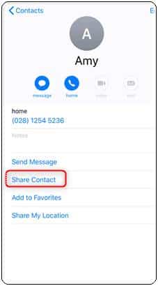 AirDrop contacts on iPhone