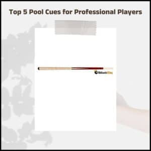 best pool cues 2021