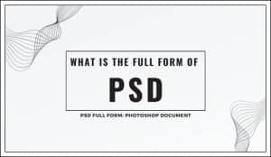 psd full form