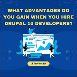 Drupal 10 developer