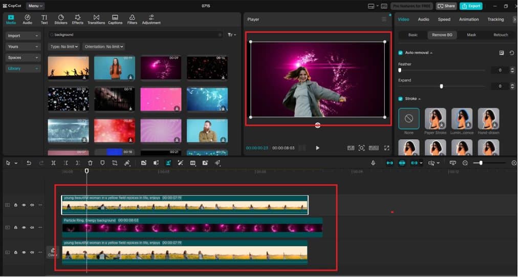 Add New Background or Enhance with Other Effects