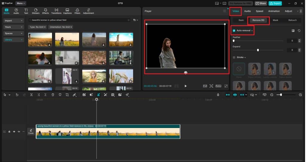 Select the Video and Open the “Remove BG” Tool